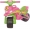 я Мотоцикл Байк 0139/65 рожевий МУЗ Doloni Toys